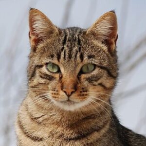 Profielfoto van Miss Macaria